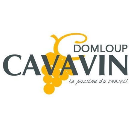 Cavavin Domloup